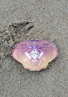 20190626_115827