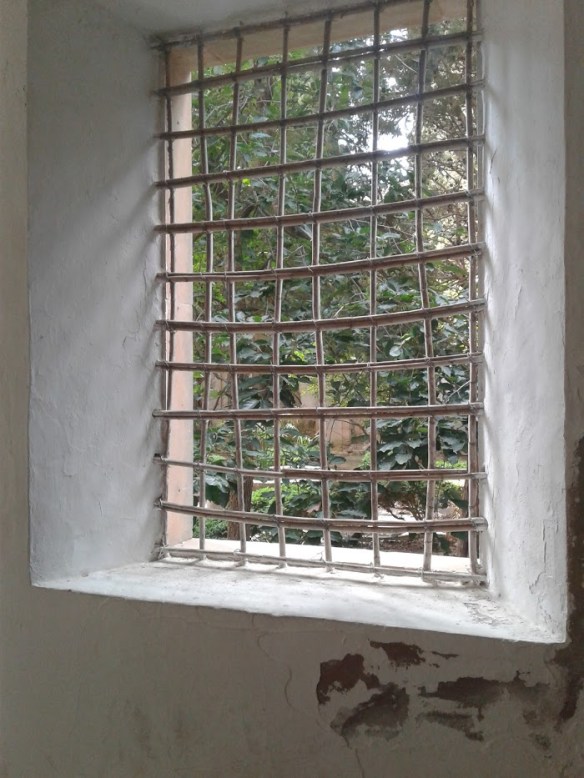 window 2