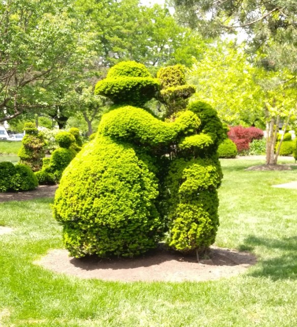 fav topiary