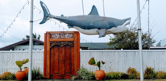 shark door