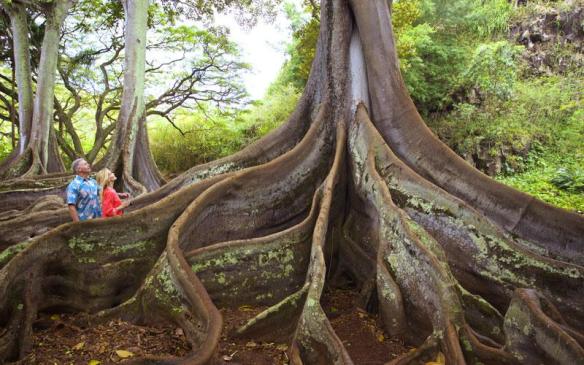 tourimages_allerton_guide